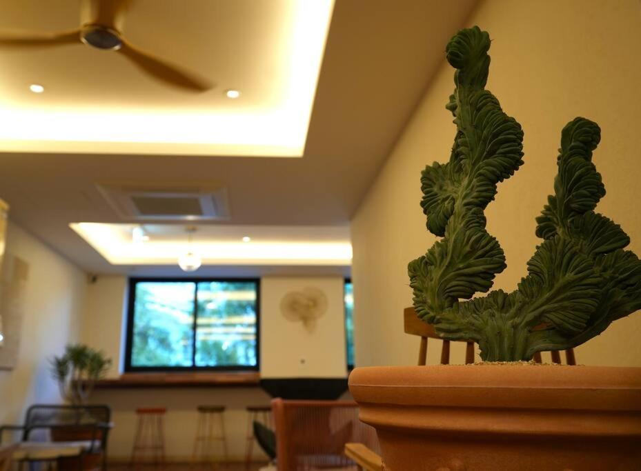 Guest house Mumune